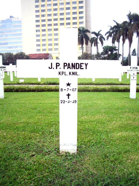 pandey.j.p.2005.jpg