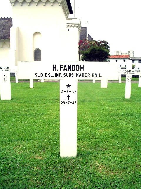 pandoh.h.2005.jpg