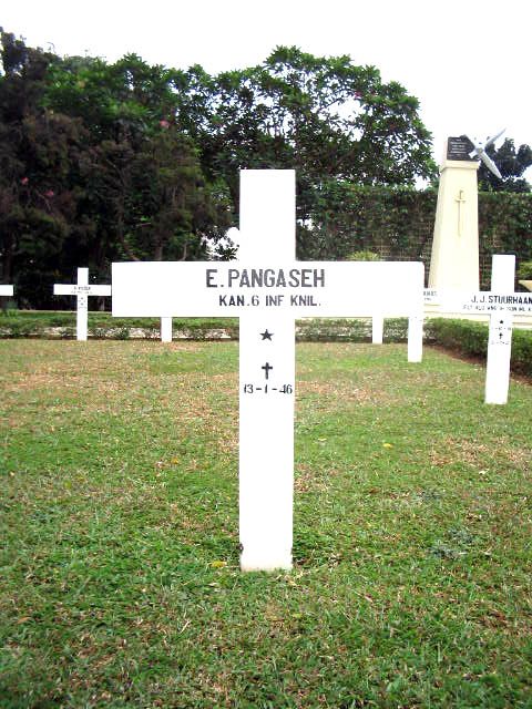 pangaseh.e.2005.jpg