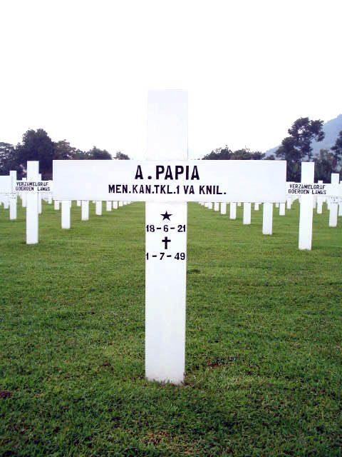 papia.a.2005.jpg