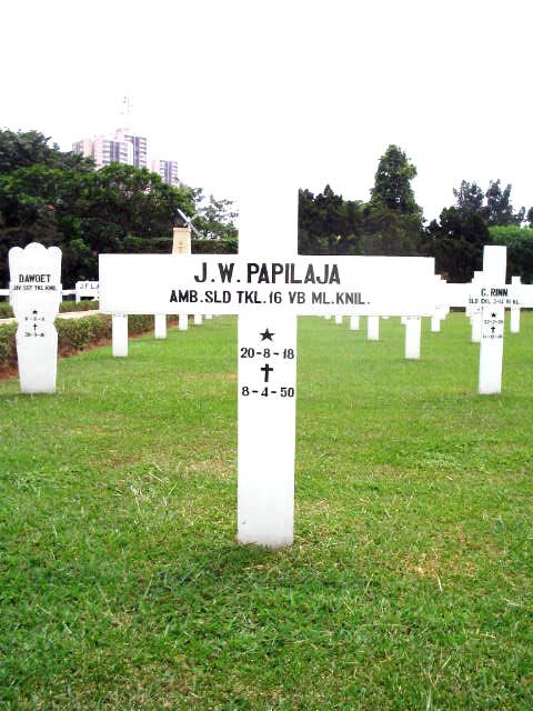 papilaja.j.w.2005.jpg