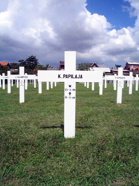 papilaja.k.2005.jpg