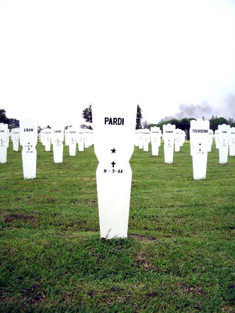 pardi.2005.jpg