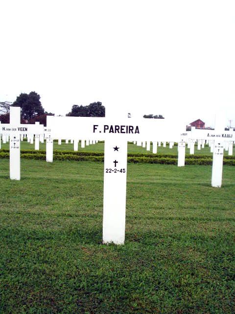 pareira.f.2005.jpg