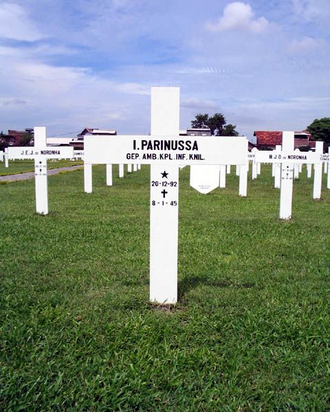 parinussa.i.2005.jpg