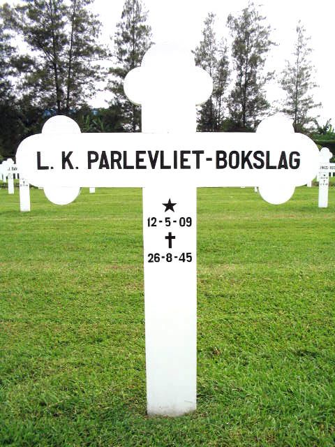 parlevliet bokslag.l.k.2004.jpg