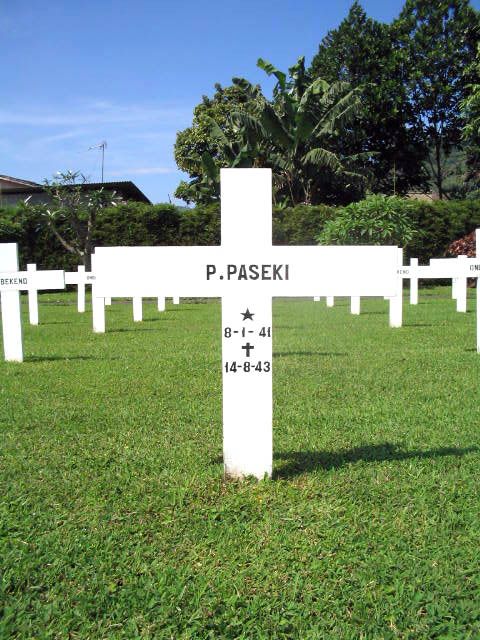paseki.p.2005.jpg