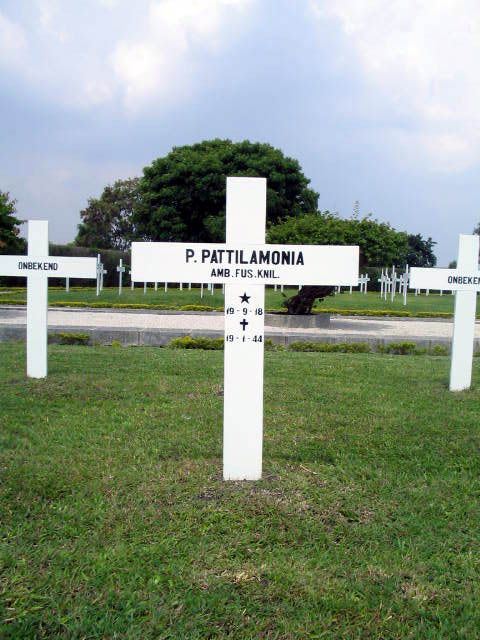 pattilamonia.p.2005.jpg