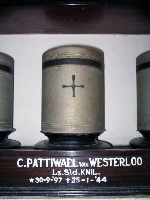 pattiwael van westerloo.c.2005.jpg