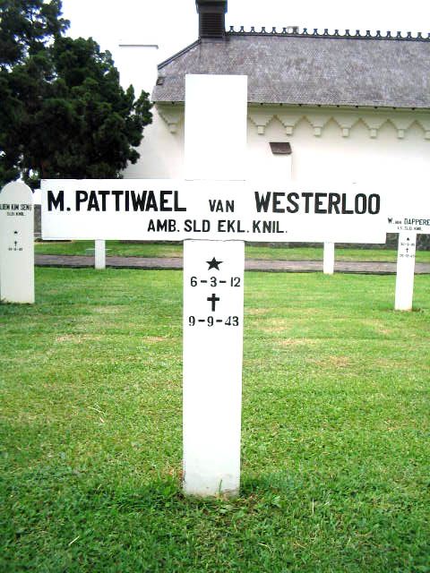 pattiwael.westerloo.van.m.2005.jpg