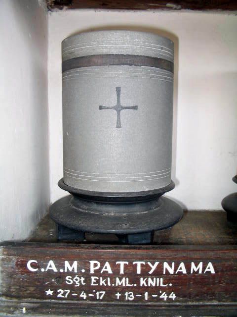 patynama.c.a.m.2005.jpg