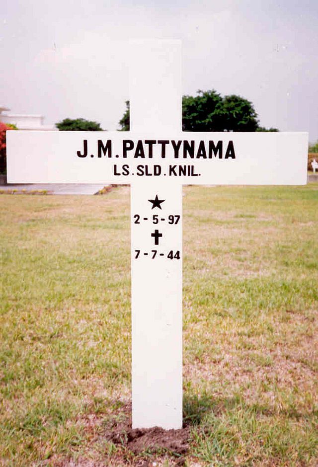pattynama.j.m.2006.jpg