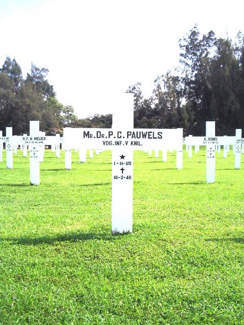 pauwels.p.c.2005.jpg