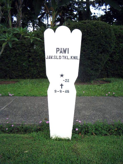 pawi.2005.jpg