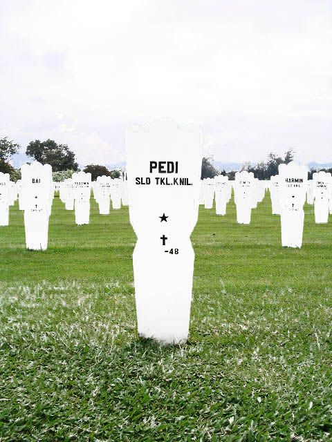 pedi.2005.jpg