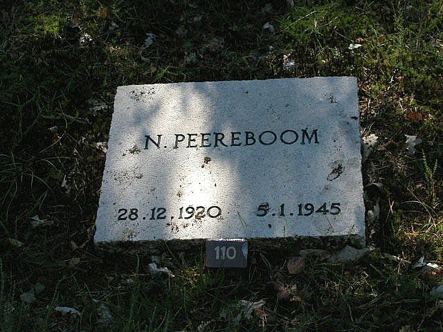 N.Peereboom.jpg