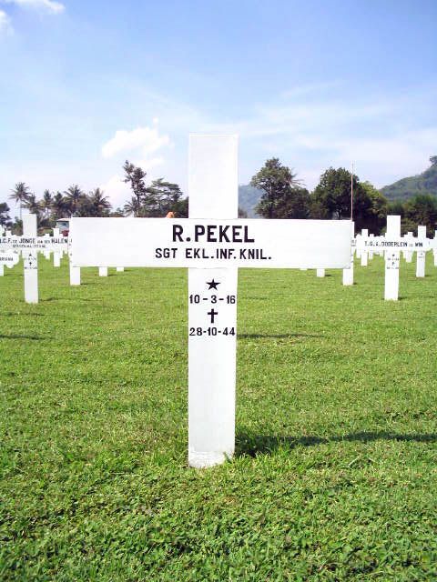 pekel.r.2005.jpg