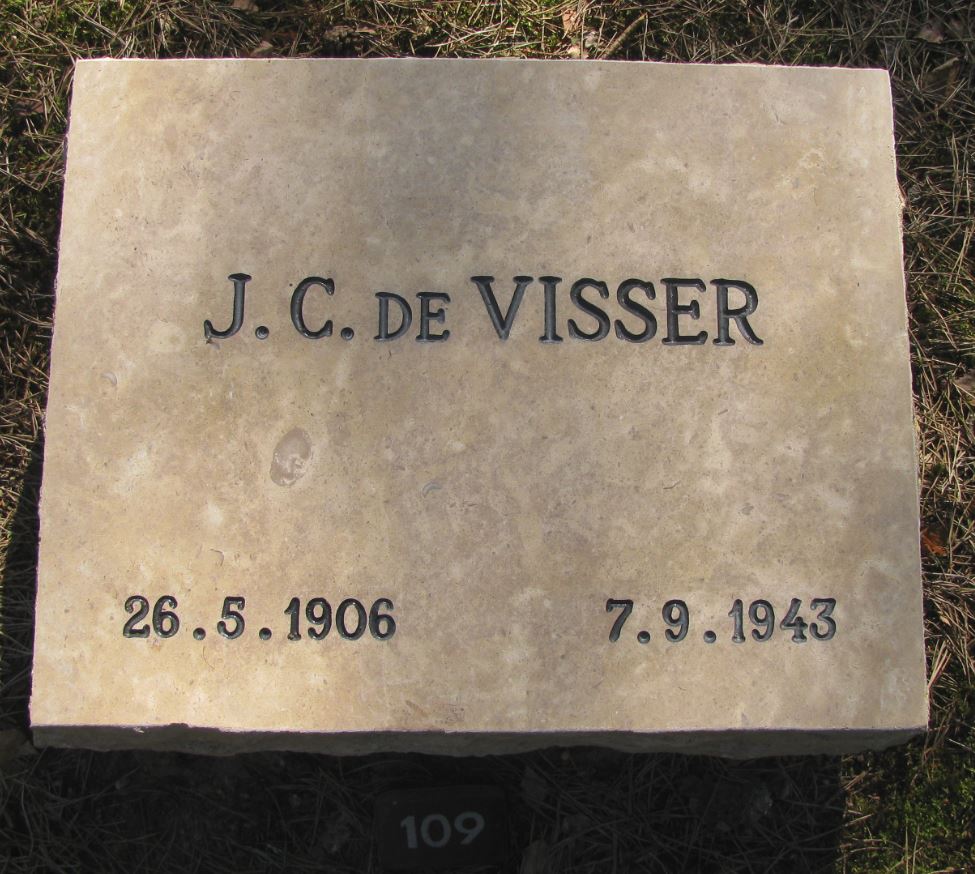 deVisserJPG.JPG