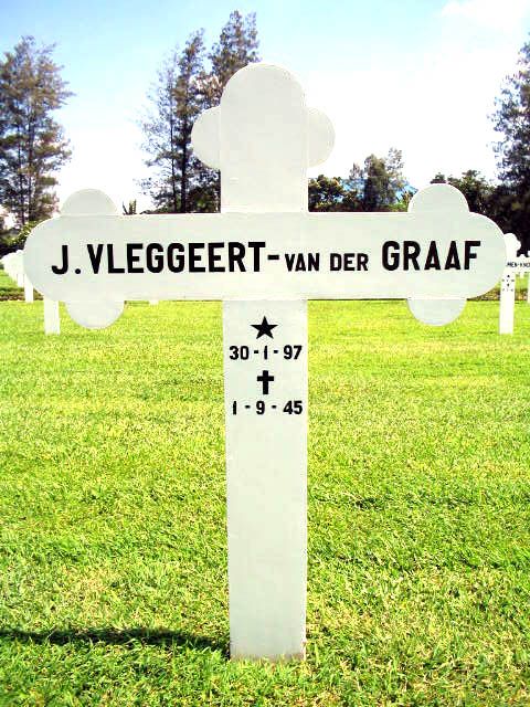 vleggeert v der graaf j.2004.jpg