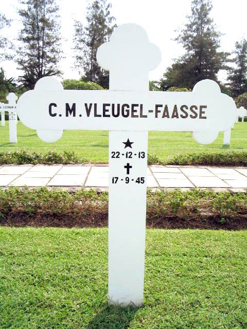 vleugel faasse.c.m.2004.jpg