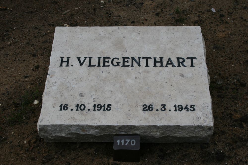 vliegenthart loenen klein.jpg