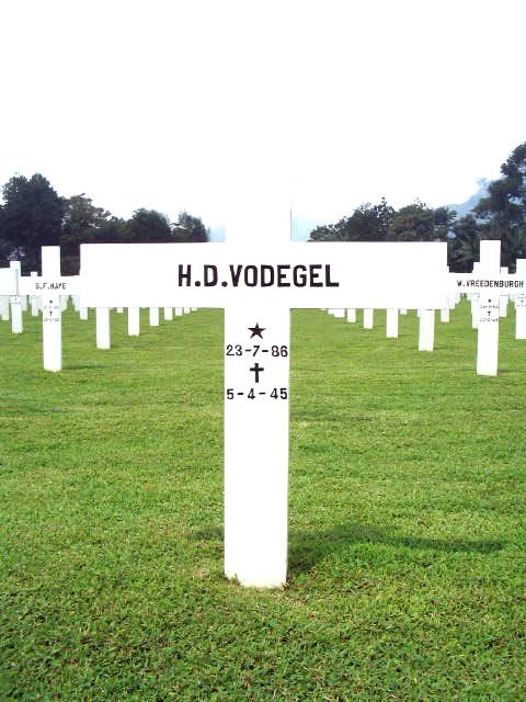 vodegel.h.d.2005.jpg