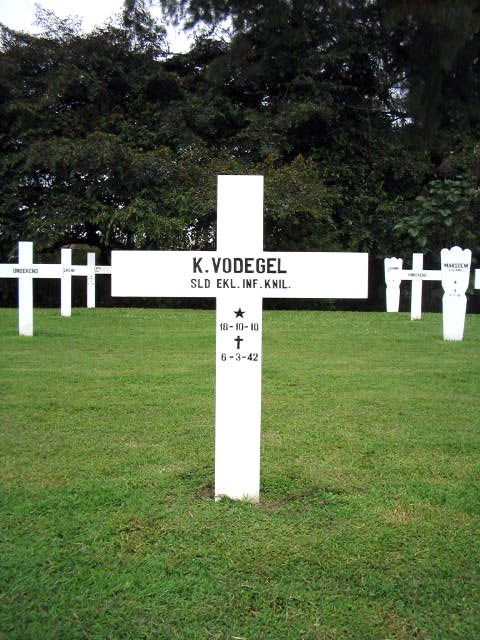 vodegel.k.2005.jpg