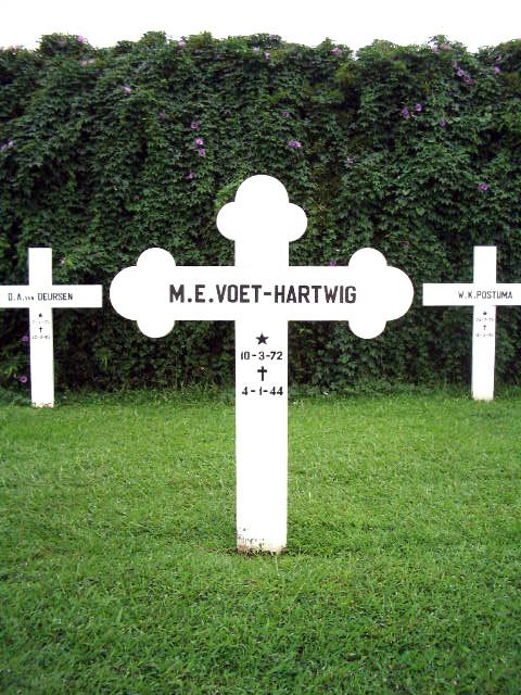voet.hartwig.m.e.2005.jpg