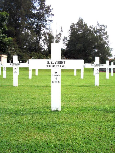 voogt.g.e.2005.jpg