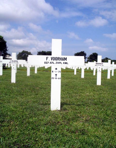 voorham.f.2005.jpg