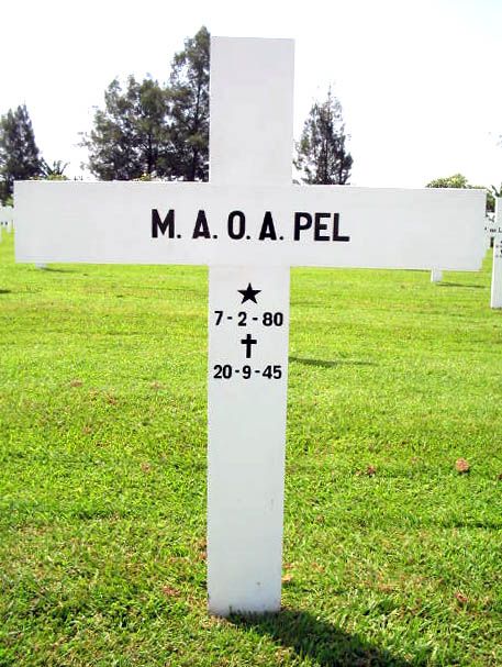 pel m.a.o.a.2004.jpg