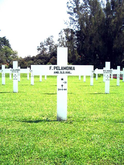 pelamonia.f.2005.jpg