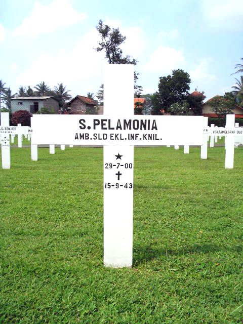 pelamonia.s.2005.jpg