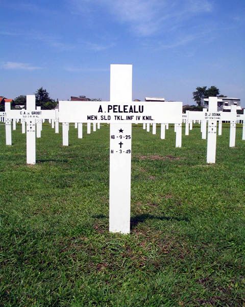 pelealu.a.2005.jpg