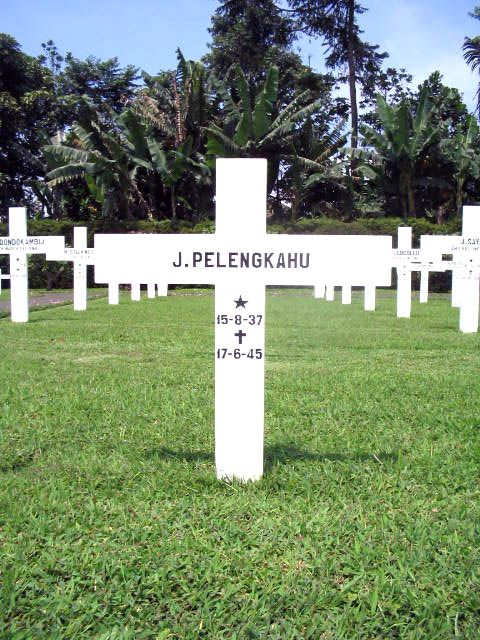 pelengkahu.j.2005.jpg
