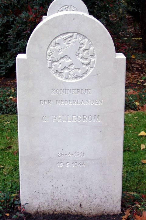 Pellegrom G.jpg