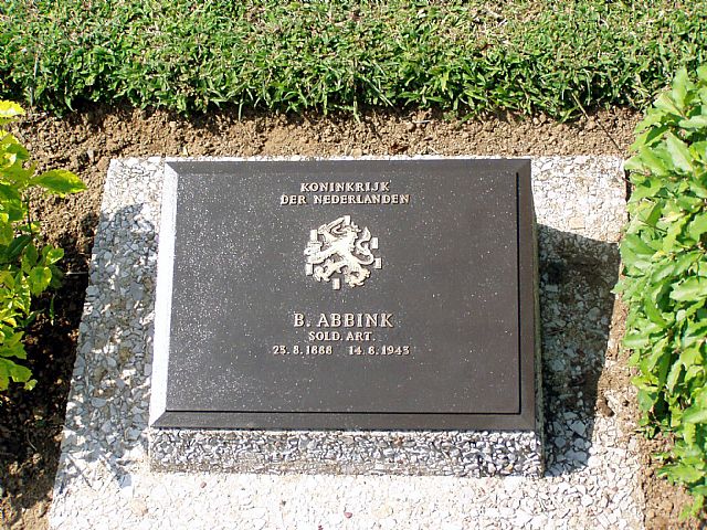 B. Abbink.jpg