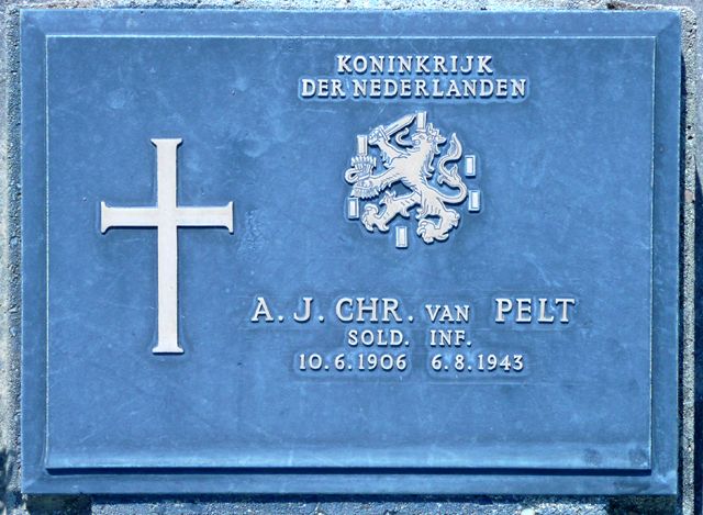 Pelt.A.J.C.van.2008.jpg