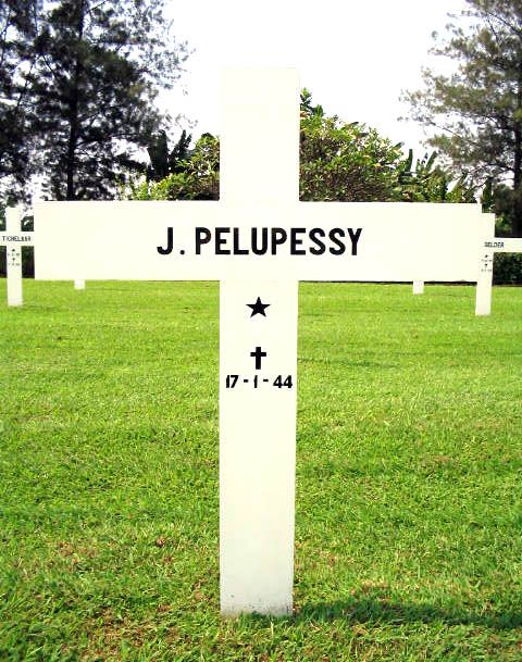 pelupessy j.2004.jpg