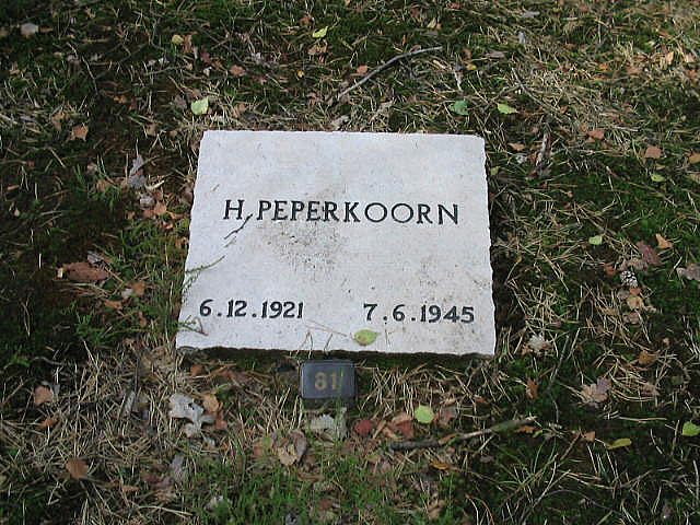 H.Peperkoorn.jpg