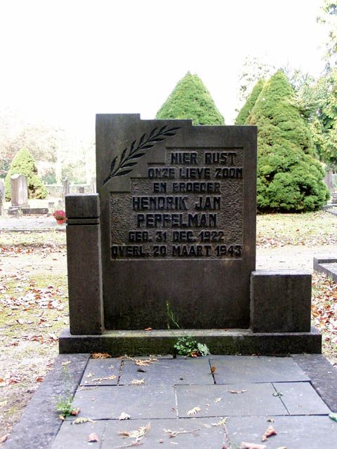 Peppelman H.J.2004.jpg