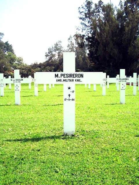 pesireron.m.2005.jpg