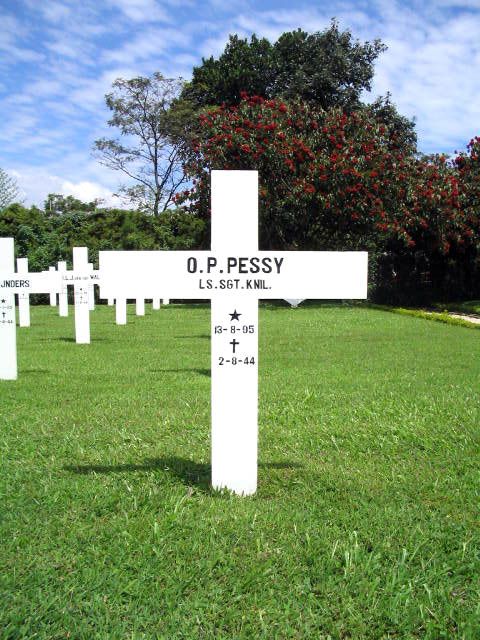 pessy.o.p.2005.jpg