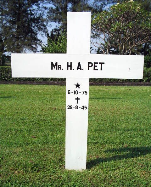 pet h.a.2004.jpg