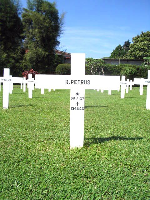 petrus.r.2005.jpg