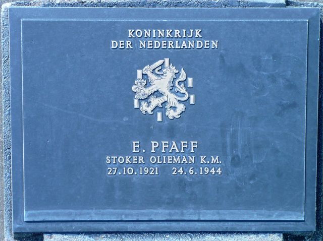 Pfaff.E.2008.jpg