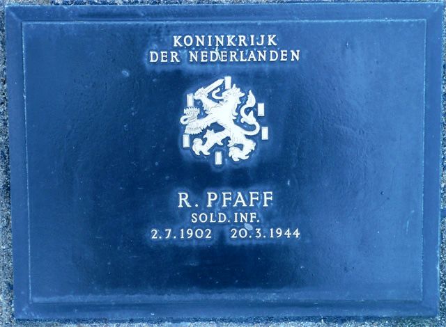 Pfaff.R.2008.jpg