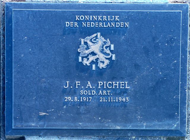 Pichel.J.F.A.2008.jpg