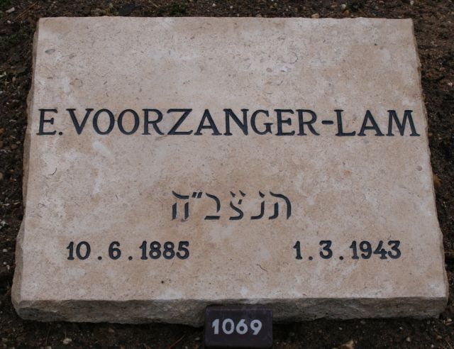 voorzanger-lam.e.2008.jpg