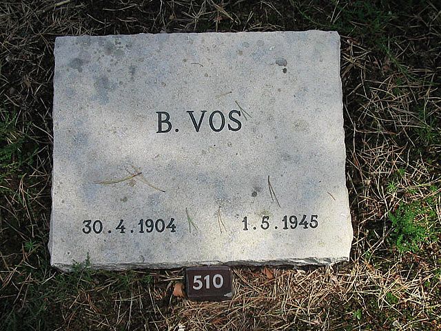 B.Vos.jpg